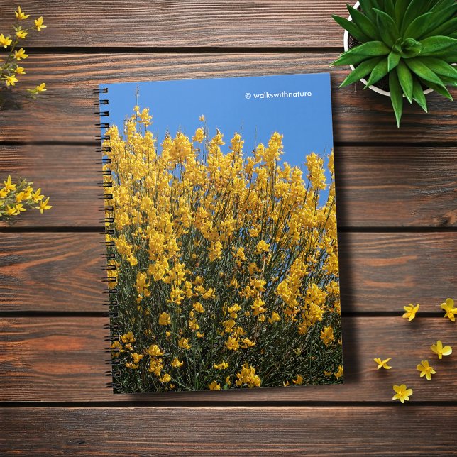 Carnet Faux Indigo jaune / Indigo sauvage / Herbe (Yellow False Indigo Journal Cover Photo)