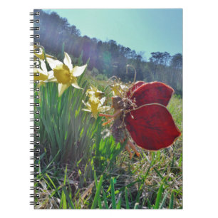 Carnet fée à aile rouge et jonquilles