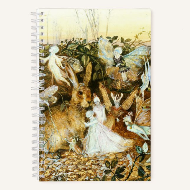 Carnet Fées et lapin (Recto)