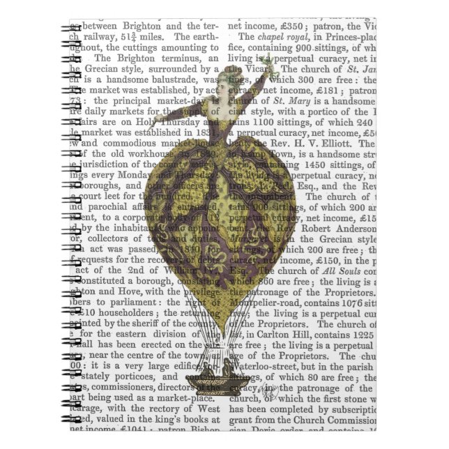 Carnet Femme de ballon à air chaud 1 (Devant)