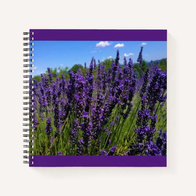Carnet Ferme de Lavender (Devant)