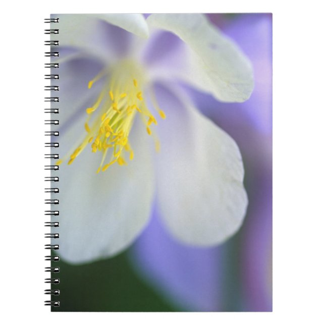 Carnet Fermeture de la fleur Colorado Columbine. (Devant)