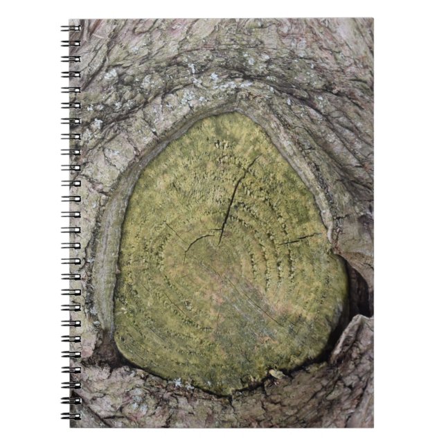 Carnet Fermeture du talon de branche de l'arbre (Devant)
