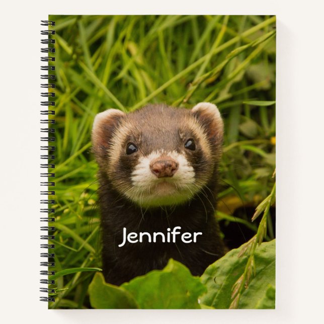 Carnet Ferret Brown dans l'herbe (Devant)