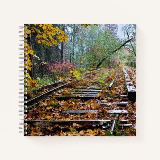 Carnet Ferroviaire oublié