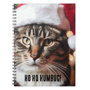 Carnet Festive Tabby
