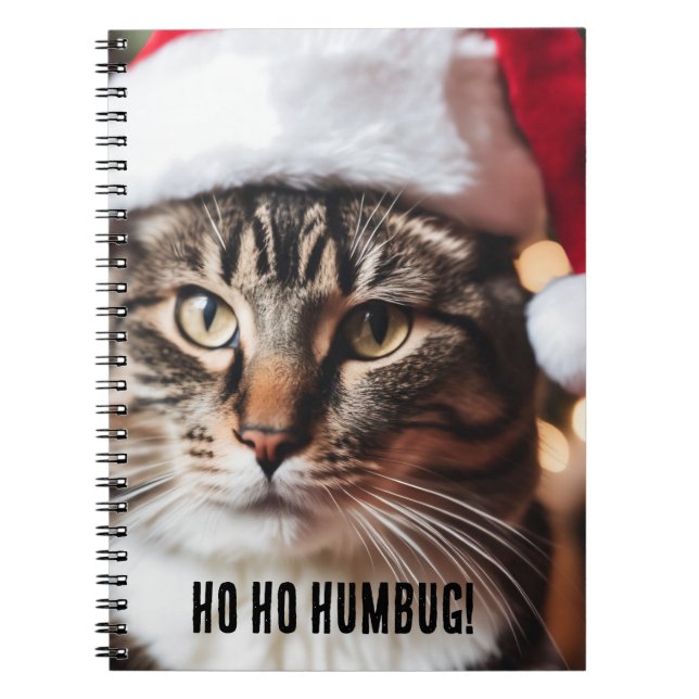 Carnet Festive Tabby (Devant)