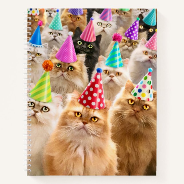 Carnet Fête de chats (Devant)
