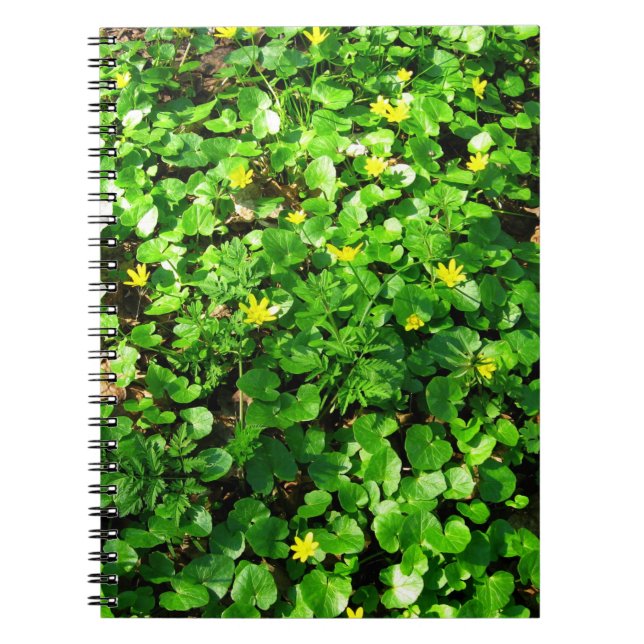 Carnet feuillage vert (Devant)