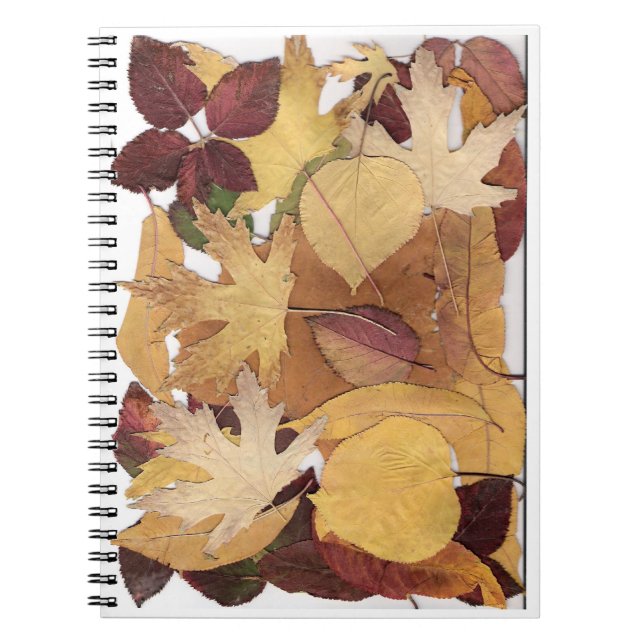 Carnet Feuille d'automne (Devant)