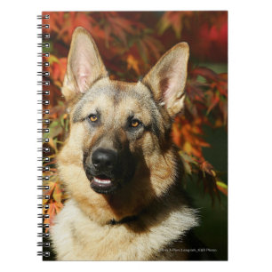 Carnet Feuille d'automne de berger allemand