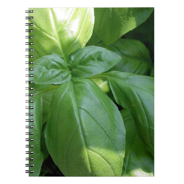 Carnet Feuille de Basil (Devant)