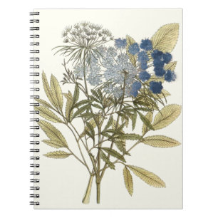 Carnet Feuille de dentelle - fleurs et verdure