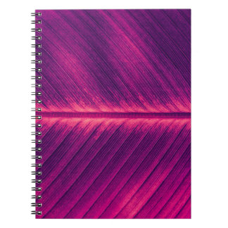 Carnet Feuille de palme Abstraite : Veine tonique