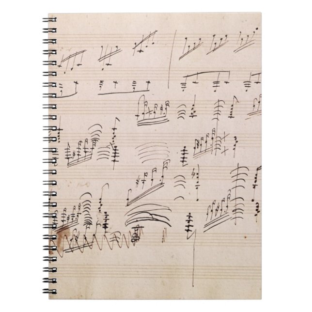 Carnet Feuille de score de 'clair de lune Sonata (Devant)