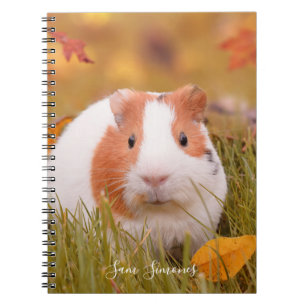 Carnet Feuille personnalisé/mignon de cobaye et d'automn