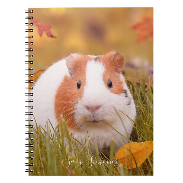Carnet Feuille personnalisé/mignon de cobaye et d'automne (Devant)