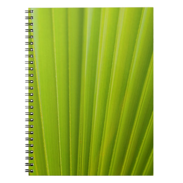 Carnet Feuille verte (Devant)