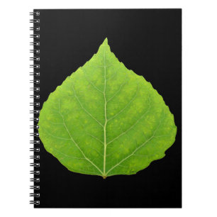 Carnet Feuille verte #11 d'Aspen