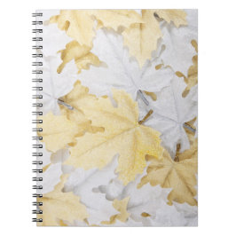 Carnet Feuilles d'automne