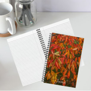 Carnet Feuilles d'automne de l'Orange Sourwood Botanique