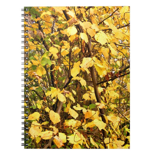 CARNET FEUILLES D'AUTOMNE JAUNE (Devant)