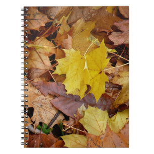 Carnet Feuilles de Érable Tombées Jaune Automne Nature