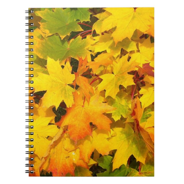Carnet Feuilles de l'érable d'automne aux couleurs d'auto (Devant)