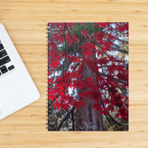 Carnet Feuilles de l'érable rouge et Séquoia géante