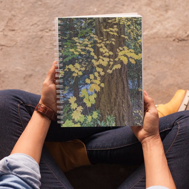 Carnet Feuilles d'érable jaune et Douglas Fir (In Situ)