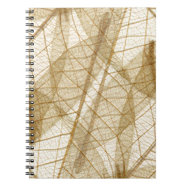 Carnet Feuilles en dentelle beige crème pâle (Devant)
