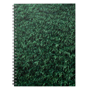Carnet Feuilles verts