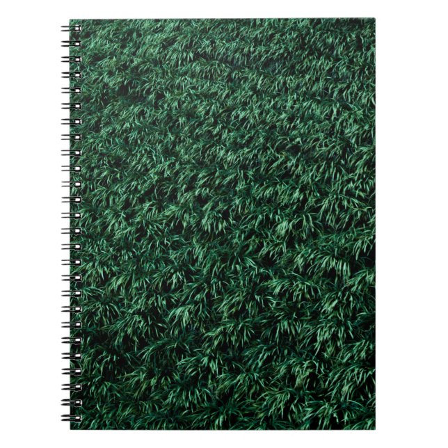 Carnet Feuilles verts (Devant)