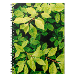 Carnet feuilles verts frais ont l'air belle et très natur