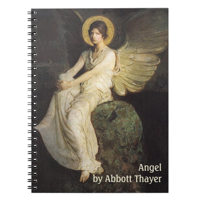 Carnet Figure ailée assise sur un rocher par Abbott Thaye (Devant)