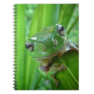 Carnet Fin de regard mignonne de grenouille d'arbre