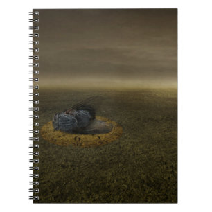 Carnet Fin d'un but 2013
