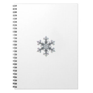 Carnet Flacon de neige