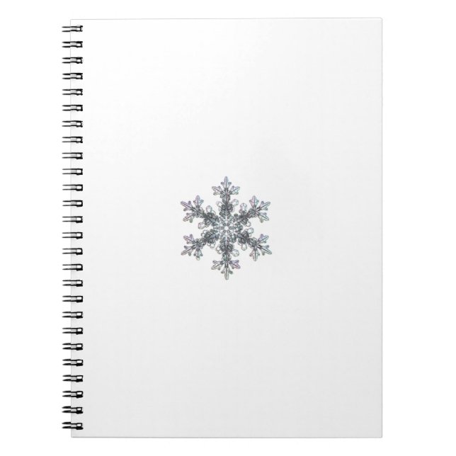 Carnet Flacon de neige (Devant)