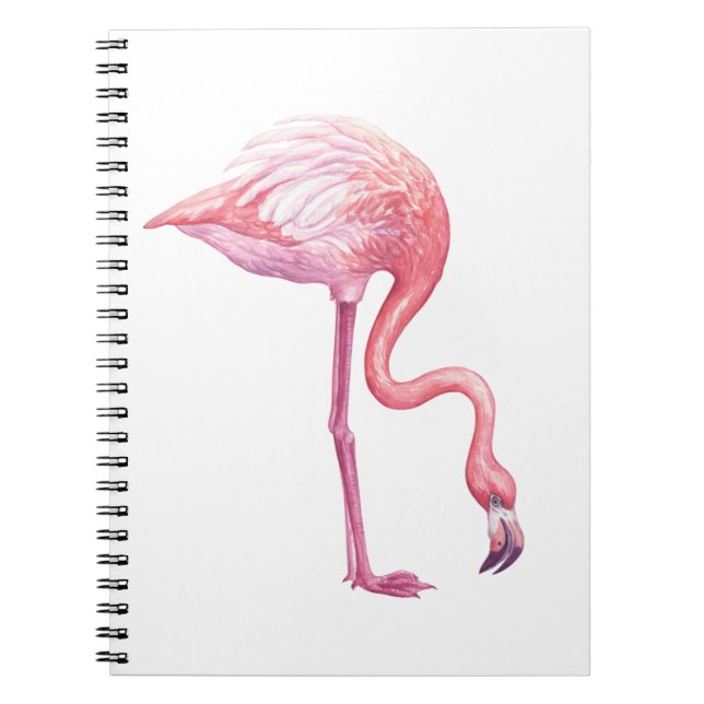 Carnet Flamant rose (Devant)