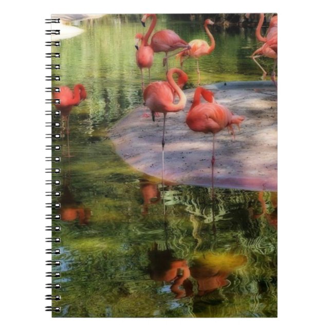 Carnet Flamant rose (Devant)