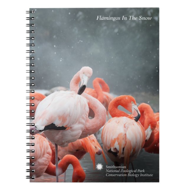 Carnet Flamants roses de Smithsonien | dans la neige (Devant)
