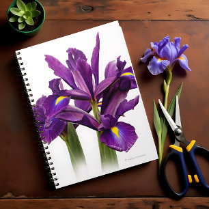 Carnet Fleur à sensation violette Iris Hollandaise superb