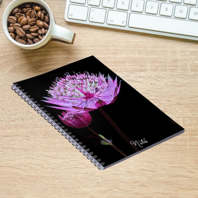 Carnet Fleur Astrantia rose sur Floral noir (In Situ)