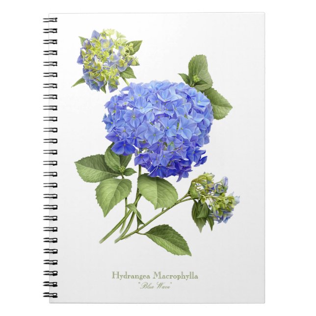 Carnet Fleur Blue Hydrangea (Devant)