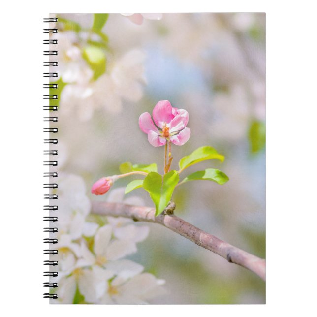 Carnet Fleur d'Apple - Beauté (Devant)