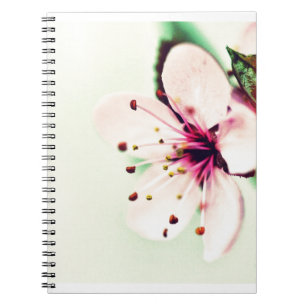 Carnet Fleur de cerise