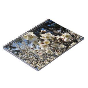 Carnet Fleur de cerisier blanc / Sakura / サクラ(桜)
