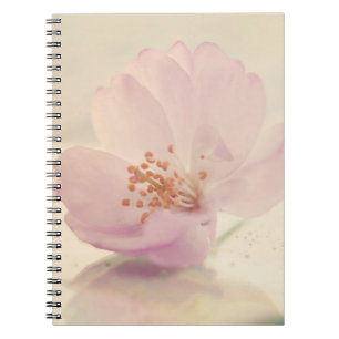 Carnet Fleur de cerisier rose pâle délicate