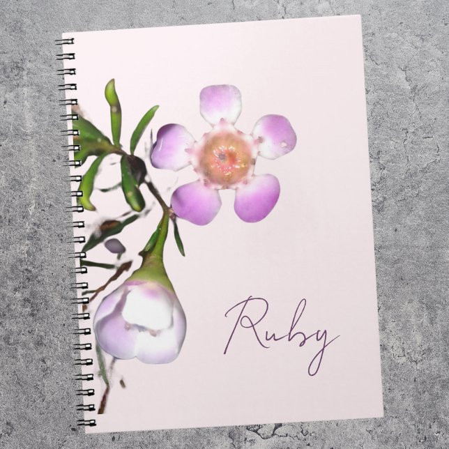 Carnet Fleur de cire délicate en fleurs (Créateur téléchargé)